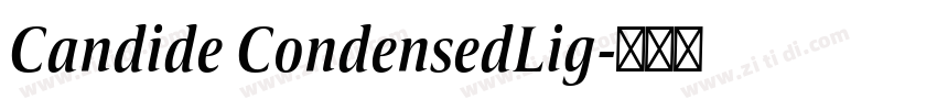 Candide CondensedLig字体转换